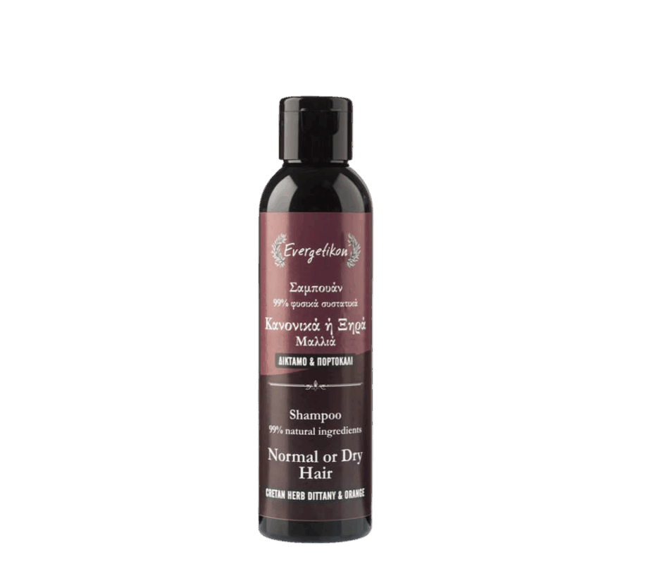 natürliches Shampoo trockenes Haar evergetikon